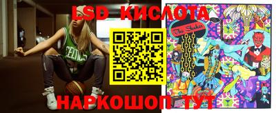 амф Кандалакша