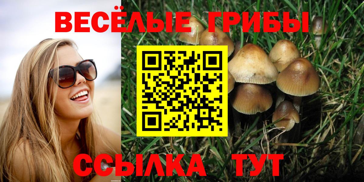 Псилоцибиновые грибы мухоморы Ярцево
