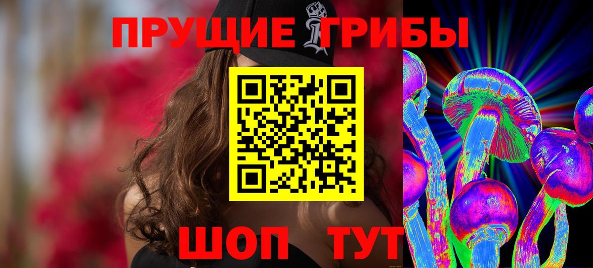 Ярцево  Псилоцибиновые грибы мицелий  Вход с VPN  Галлюциногенные грибы GOLDEN TEACHER 
