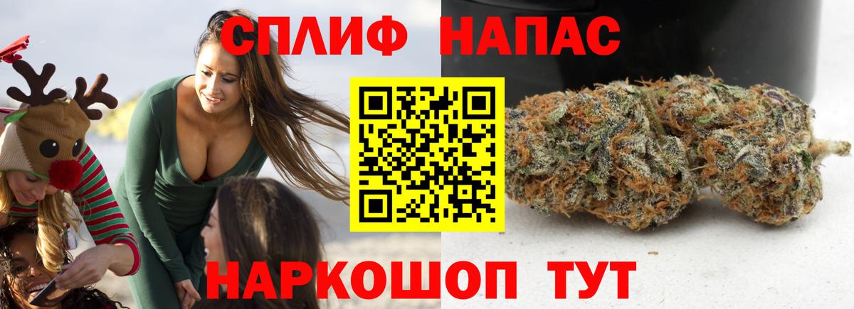 Конопля гибрид  Вход с VPN  Ярцево  Конопля сатива 
